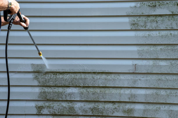 Best Demolition Debris Removal  in Ragland, AL